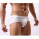 Slip Homme Coton moulant (7 coloris)