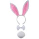 Set Accessoires Lapin Coquin